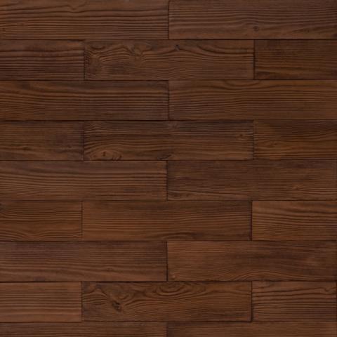 Sequoia