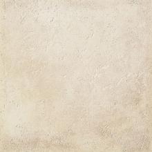Bone